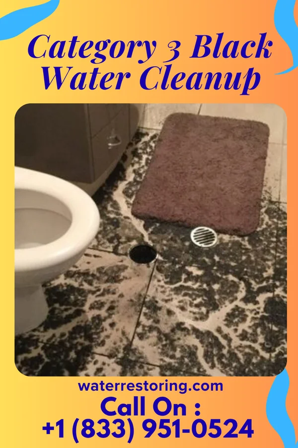 Category 3 Black Water Cleanup in Nord, CA